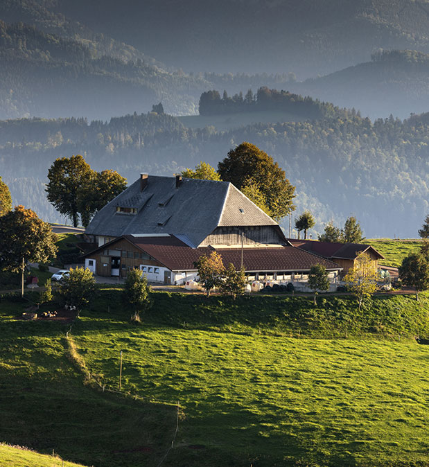 Ville d'altitude et station de montagne